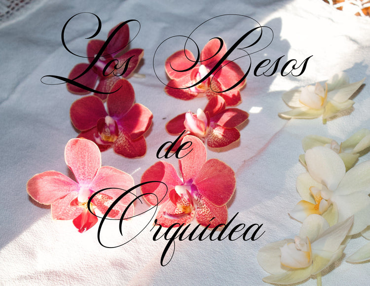 Los Besos de Orquídea