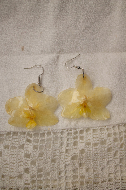 Blanca Sol Orquídea Earrings Pair Silver 1