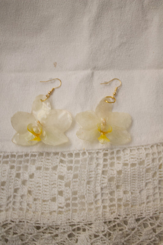 Blanca Sol Orquídea Earrings Pair Oro 3