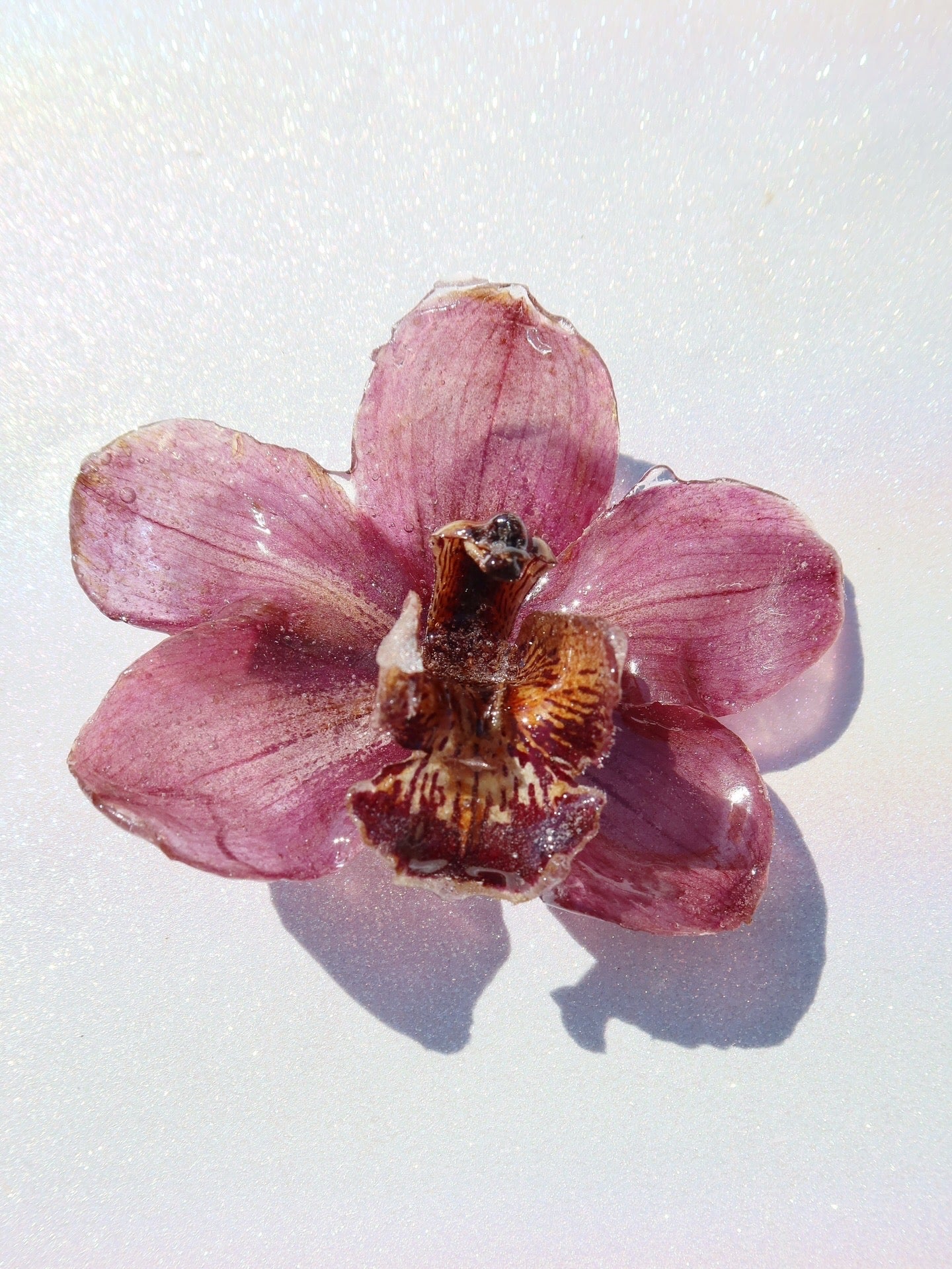 Arcelia Orchid Hair Clip