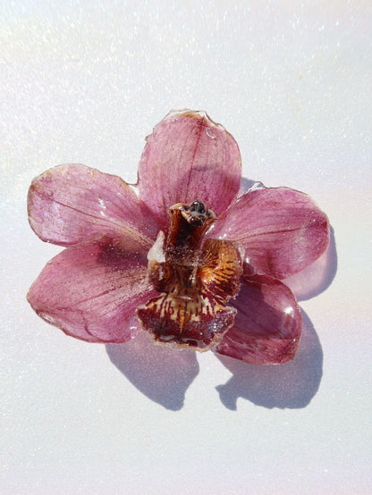 Arcelia Orchid Hair Clip