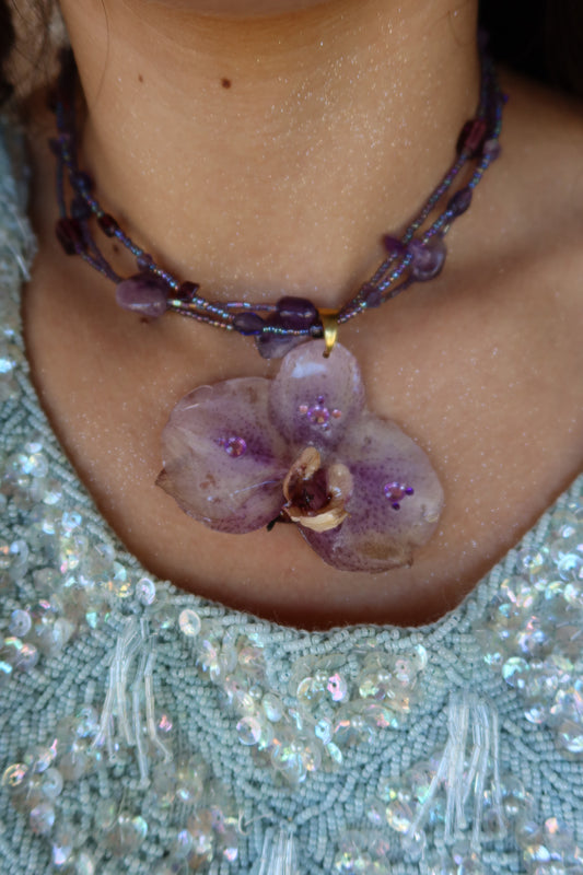 Violetta