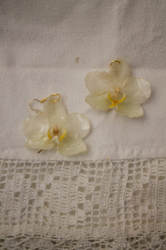 Blanca Sol Orquídea Earrings Pair Oro 2