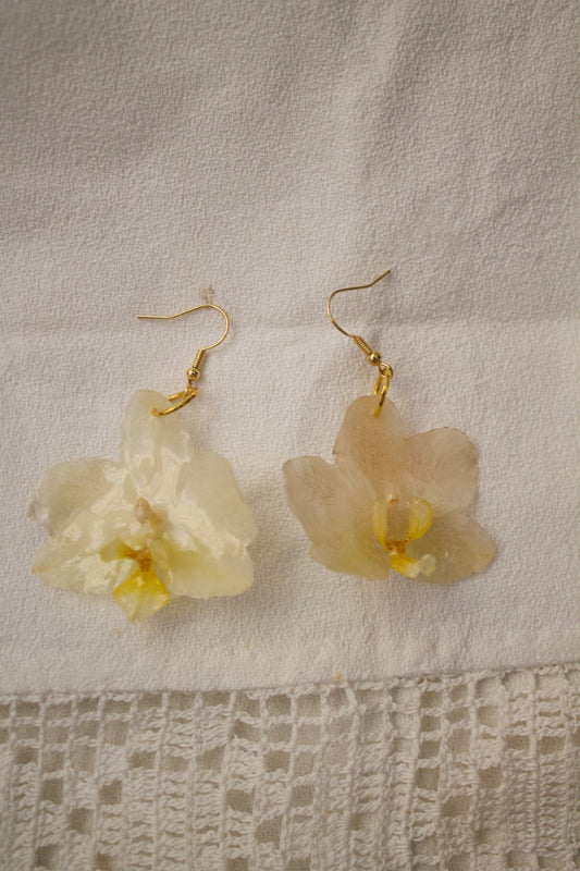 Blanca Sol Orquídea Earrings Pair Oro 1