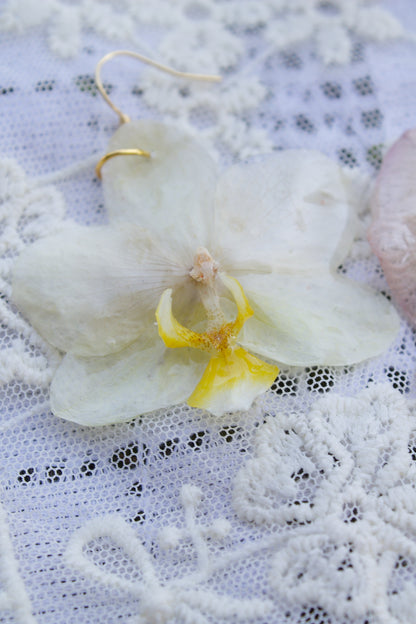 Blanca Sol Orquídea Earrings Pair Oro 3