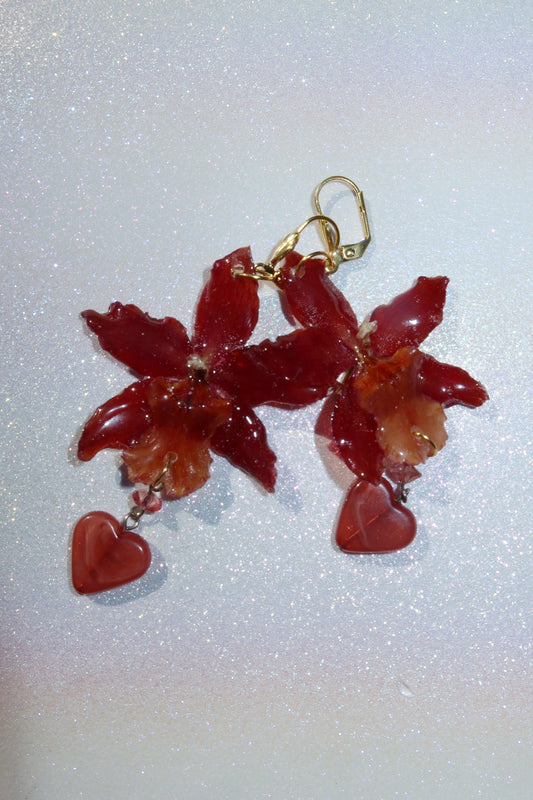 Amber Earrings