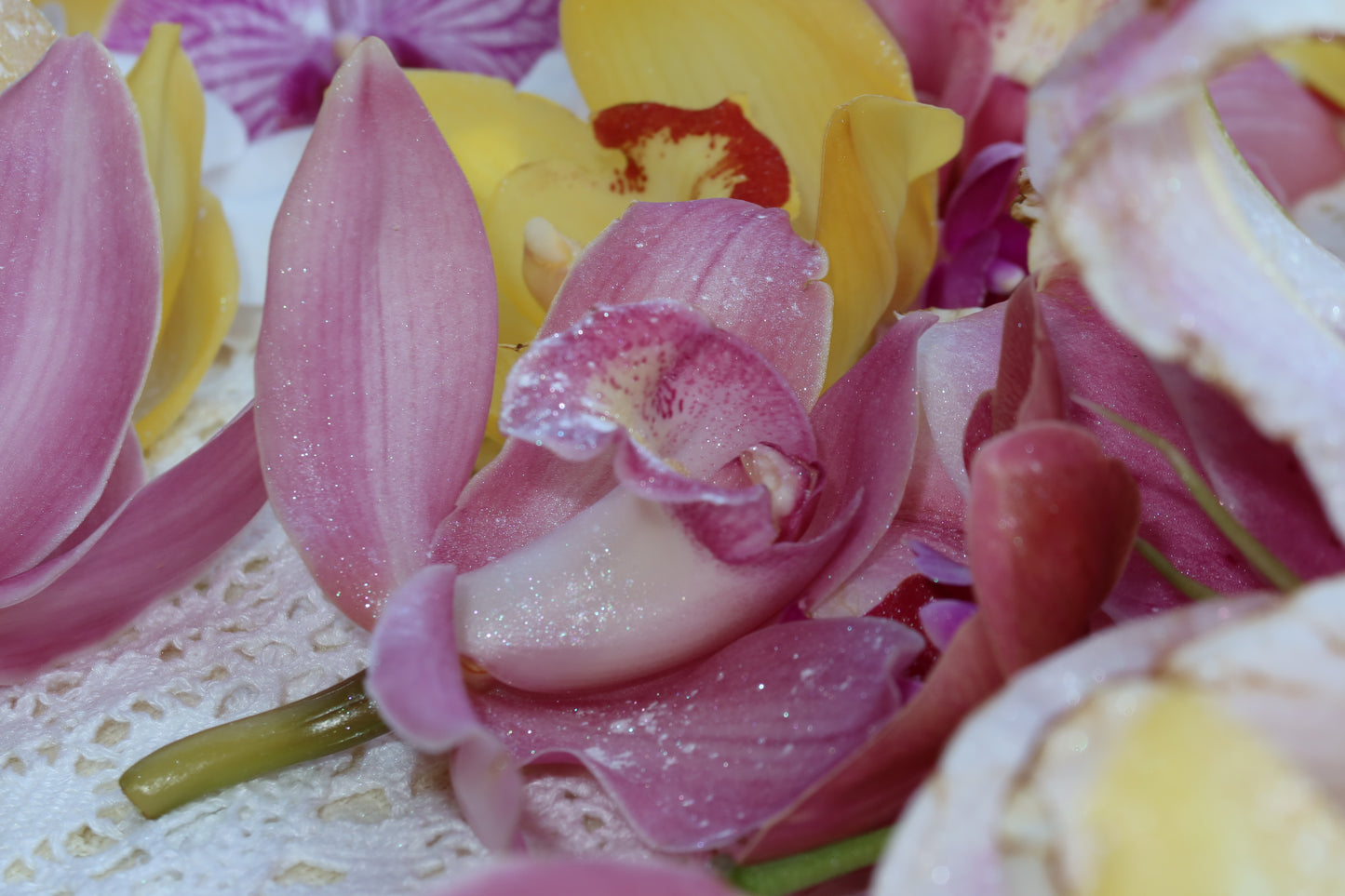 Cassandra Orchid Hair Clip